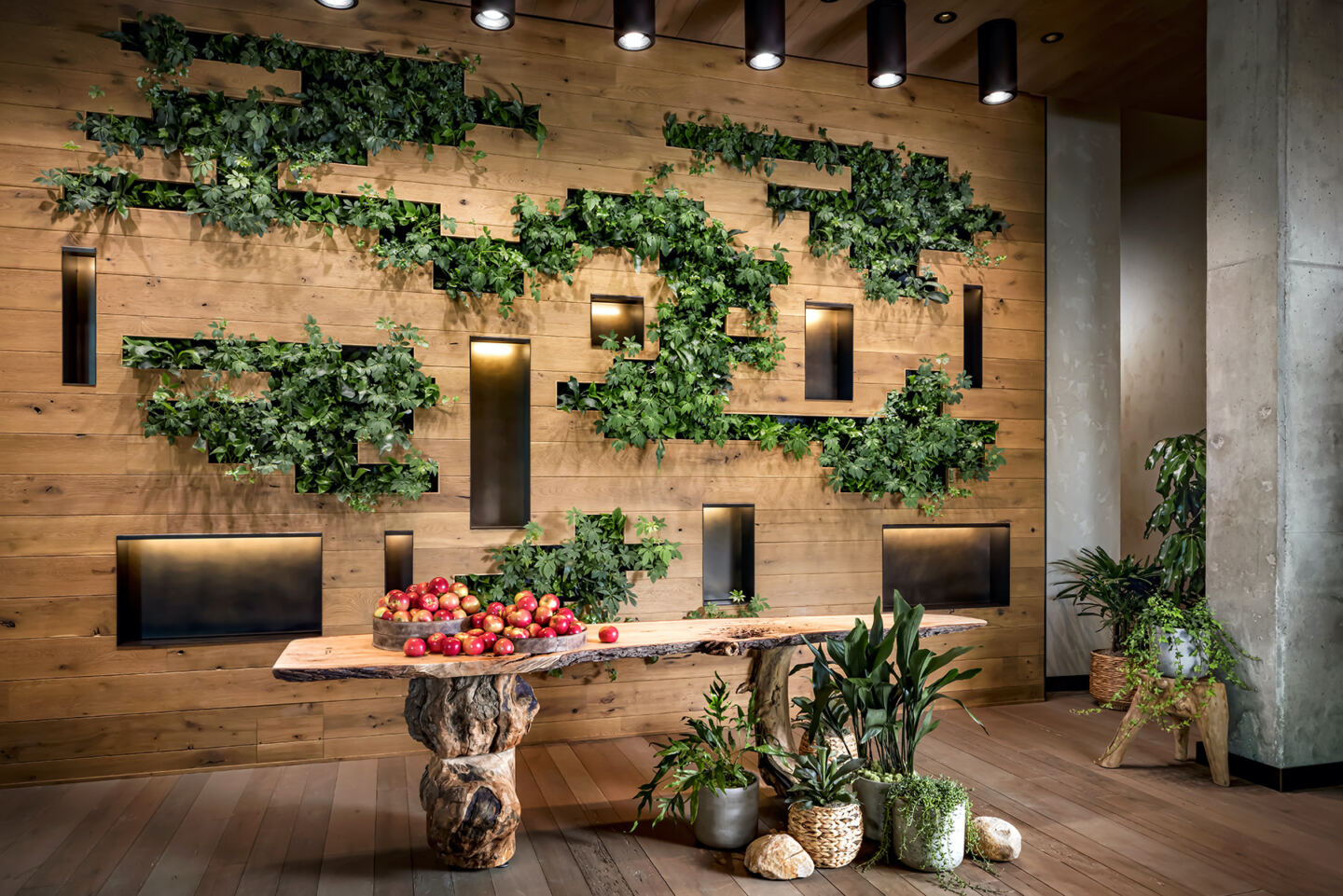 A wooden wall with plants growing out of it creates a lovely natural home decor feature