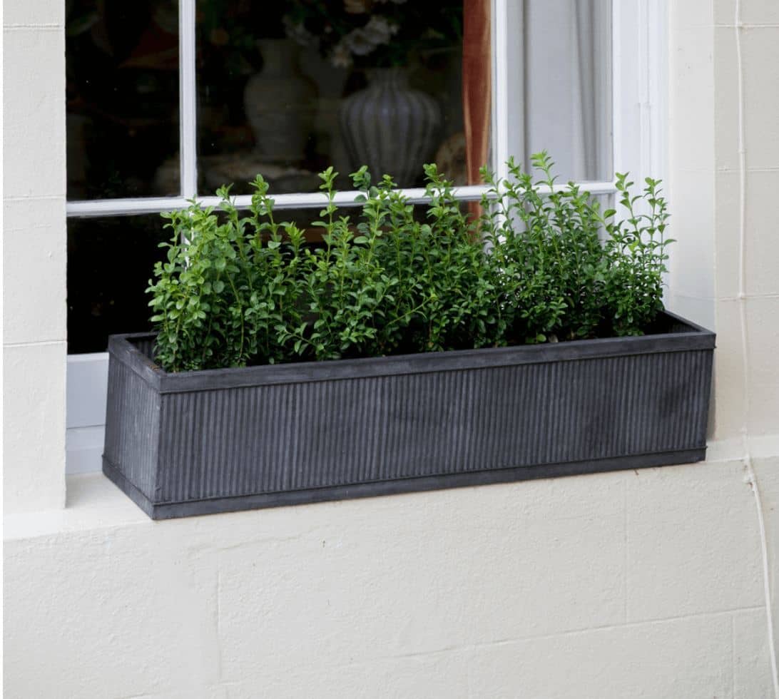 A white home with a window box full of green plants