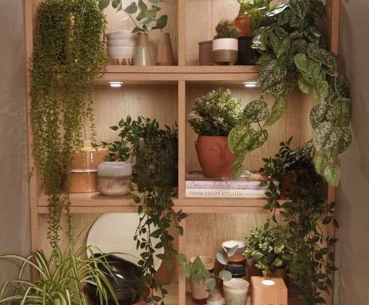 Square shelving in a magnet kitchen full of plants and decorative objects
