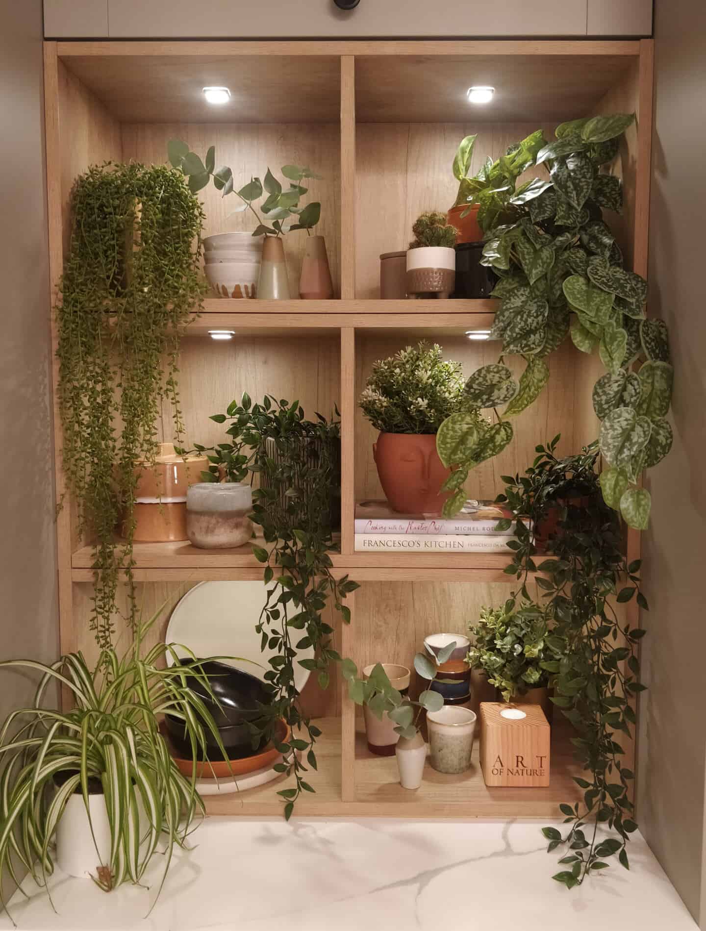 Square shelving in a magnet kitchen full of plants and decorative objects