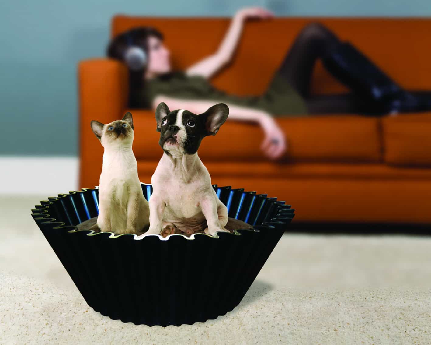 Sweet Cake Black petbasket-dog and cat