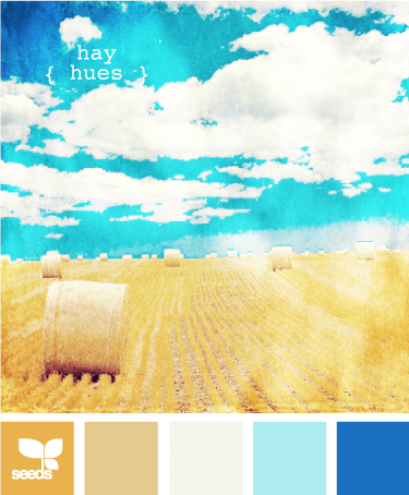 HayHues
