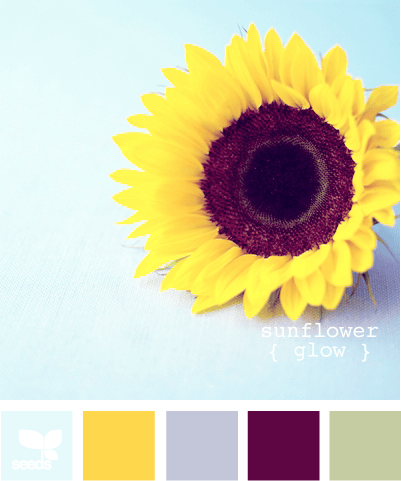 SunflowerGlow